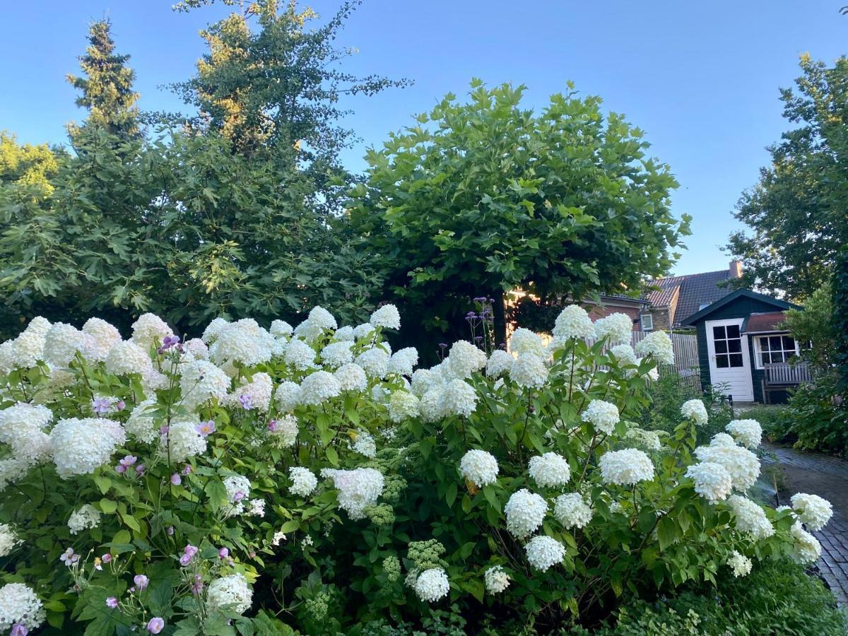 Maison De Sas Bed & Breakfast Ларен Екстериор снимка